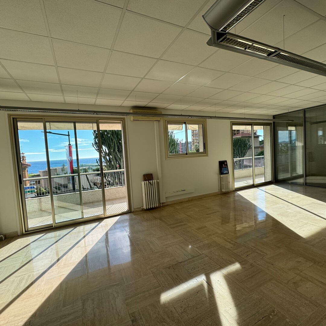 MONACO - IL TROCADERO