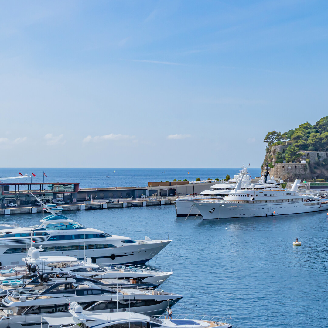 Carré d'Or - Monte Carlo Star - 4 pezzi