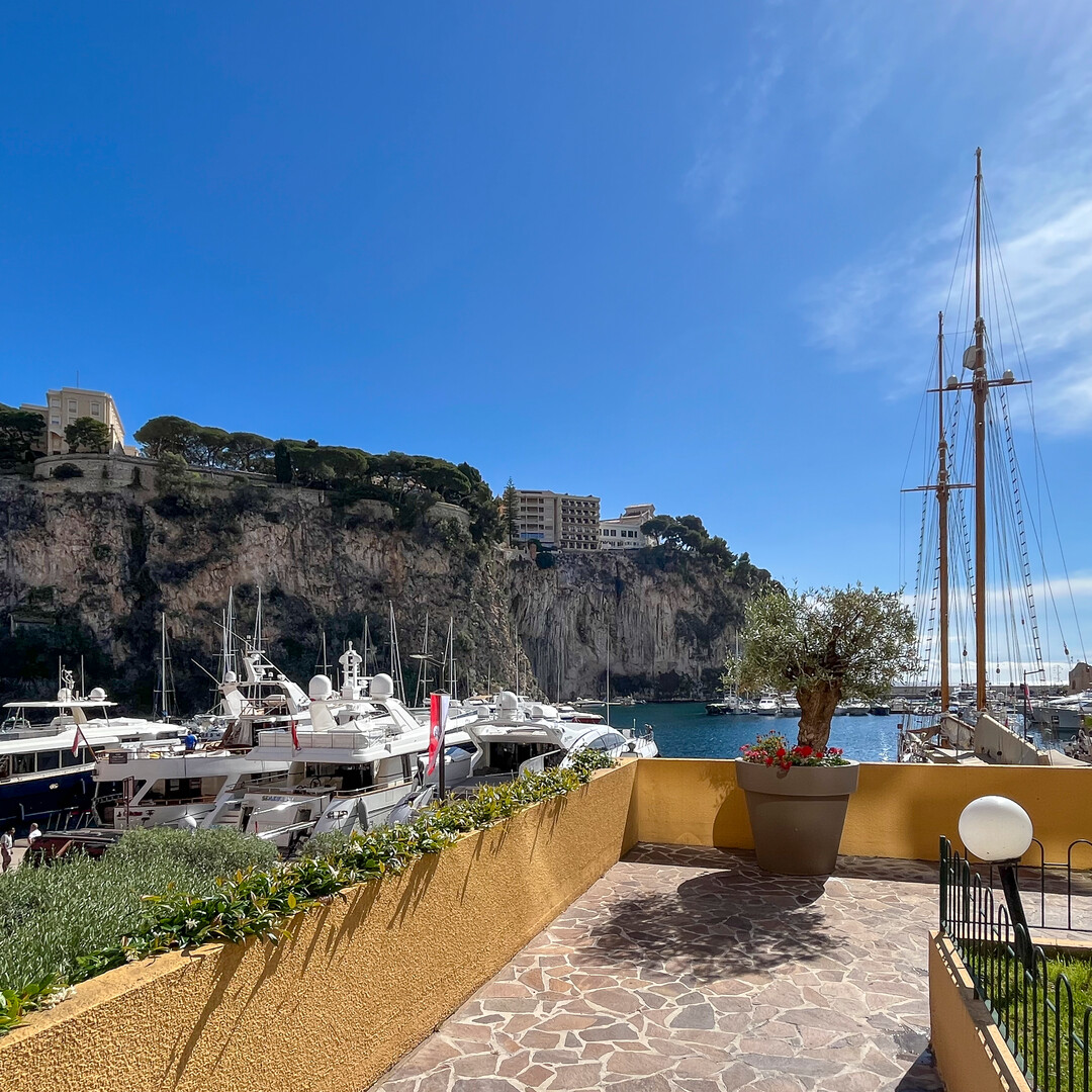 Locali commerciali con rendimento ideale per l'affitto delle finestre